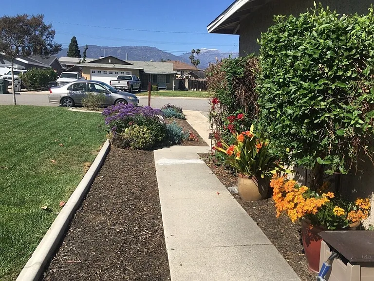 Olive St — Photo 3