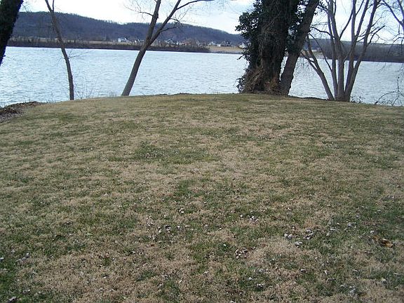 4th image of 328 Camp St