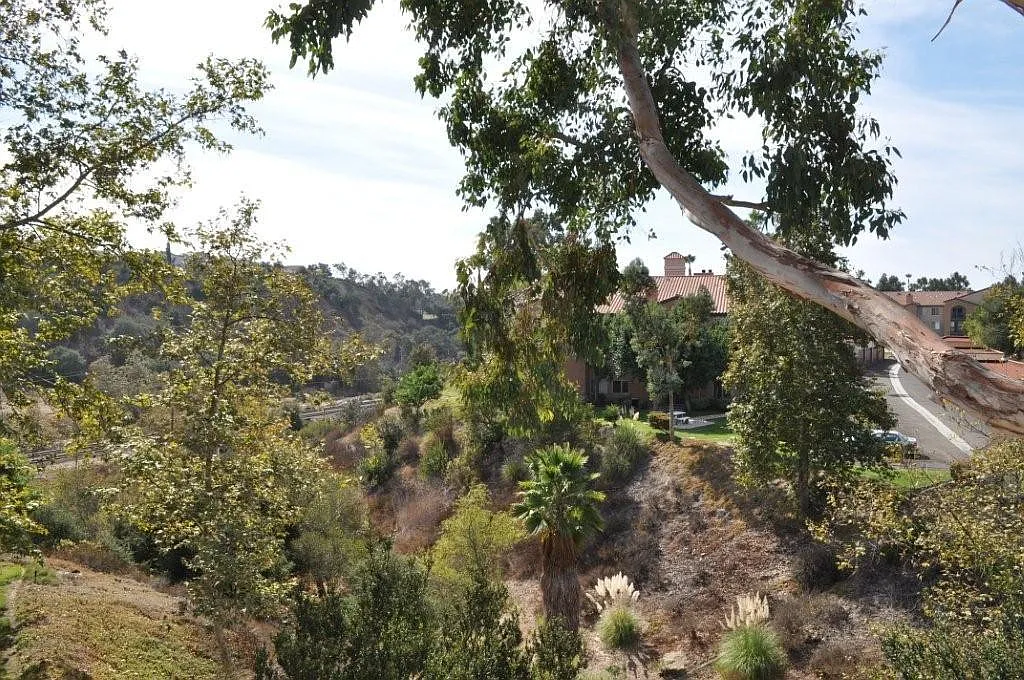 Dual Master Suite in the Cape La Jolla Gardens Community of UTC — Photo 2