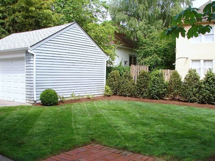 Back Yard