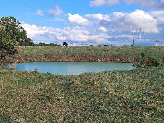 Back pond