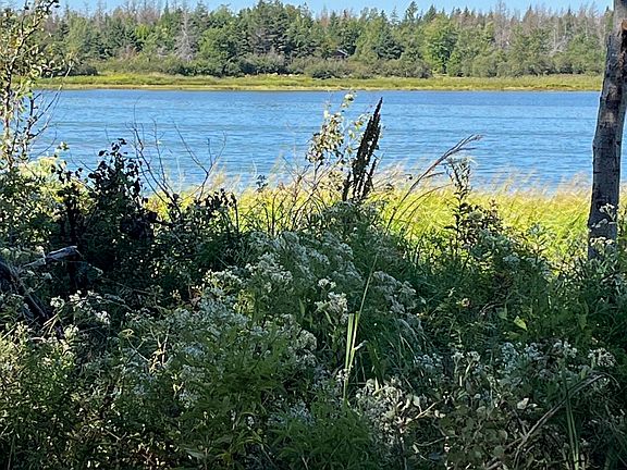 3rd image of Hall Rd