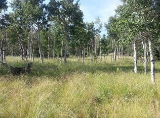 1828 Bellows Rd, Hartsel, CO 80449