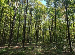 10 McDonald Rd, Remsen, NY 13438