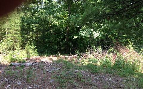 2nd image of 227 Nix Lance Dr