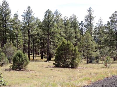 6537 Wapiti Way, Show Low, AZ, 85901