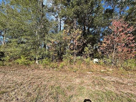 3rd image of 1964 County Road 3434 N