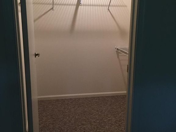 Walk-in Lighted Bedroom Closet
