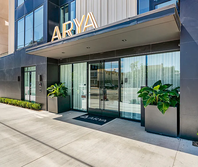 Arya — Photo 31