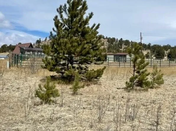 57 Fish Creek, Florissant, CO 80816