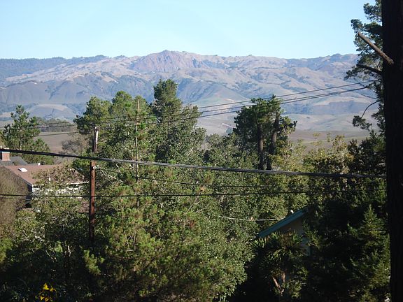 4th image of 1455 Pineridge Dr