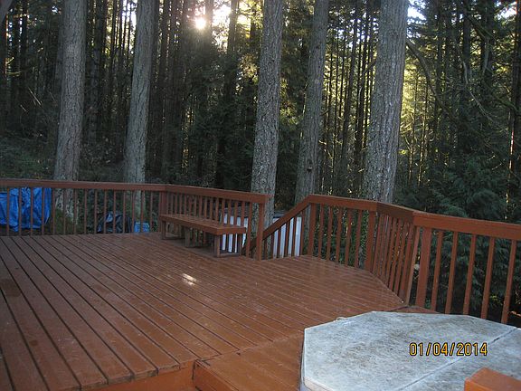 Forest from back deck