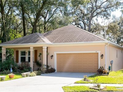 545 Westchester Hills Ln, Valrico, FL, 33594