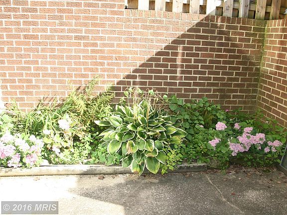 4th image of 18352 Allspice Dr