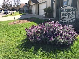 1st image of 7622 Agustawood Pl