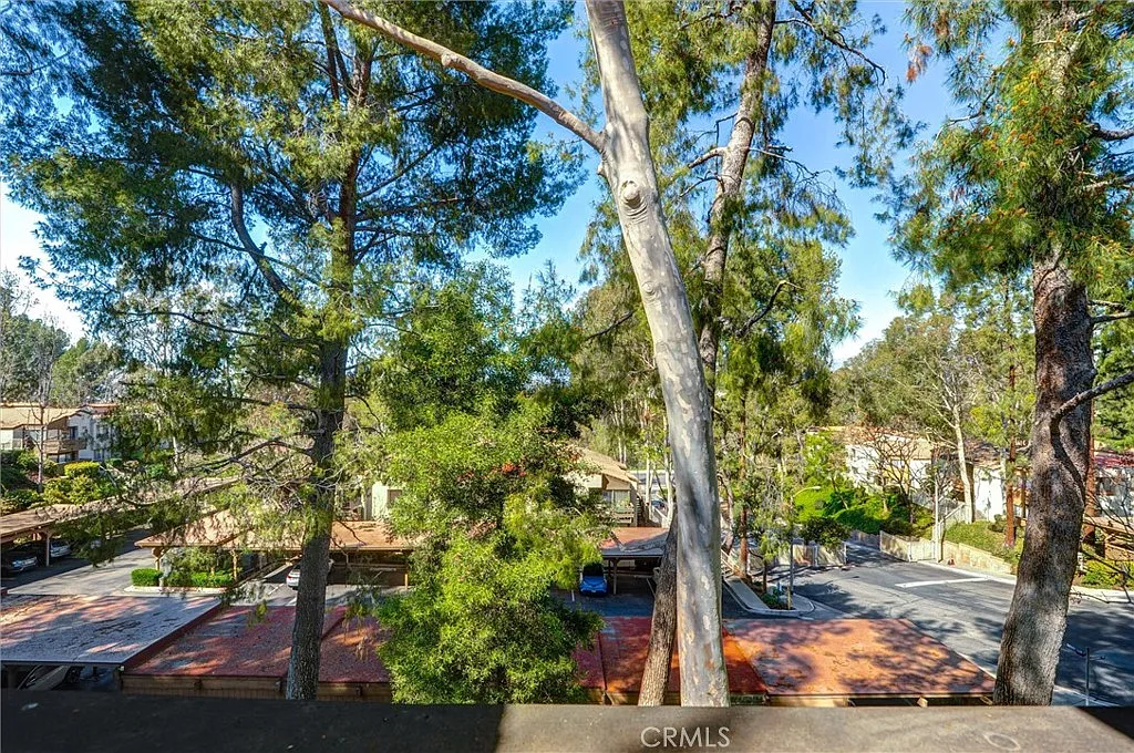 2 bed, 789 sqft, $2,700 — Photo 3