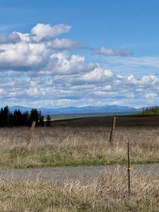 49546 Fisher Rd E, Davenport, WA, 99122
