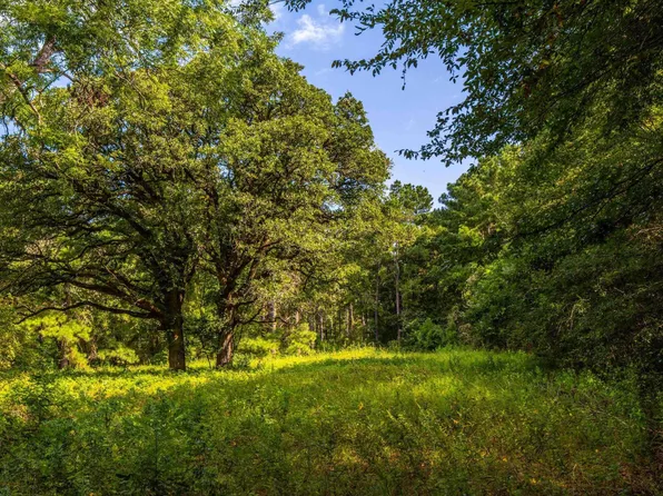 TRACT 6 State Highway 155, Frankston, TX 75763