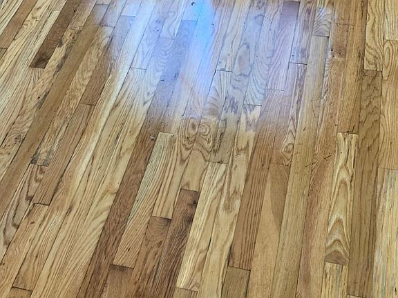 4th image of 2923 Dewitt Pl #1