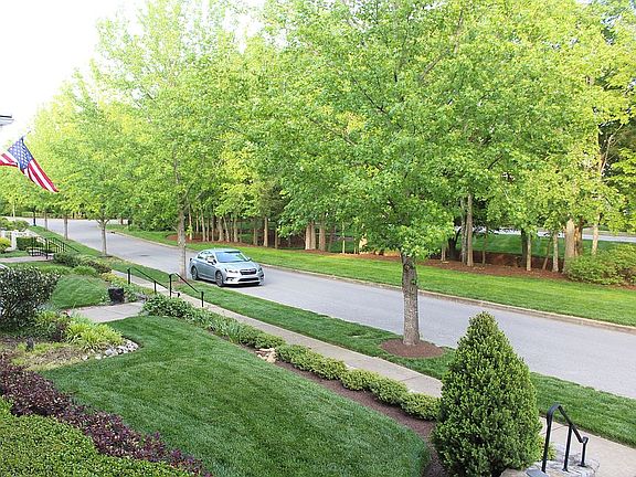 3rd image of 310 White Moss Pl