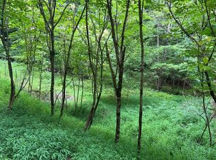 12 Preserve At Beach Mountain, Brasstown, NC 28902