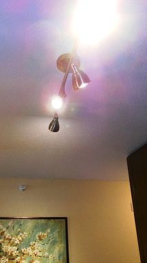 1st image of 1120 Town Centre Dr APT 06