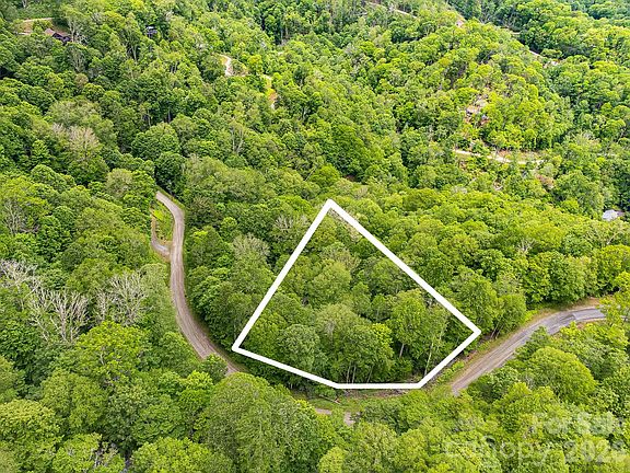 3rd image of 65 Bee Tree Ln