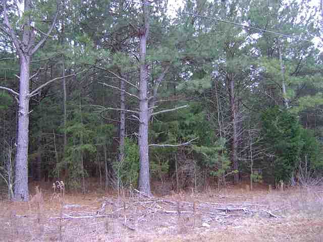 2nd image of Lts 8 10 Mattison Rd