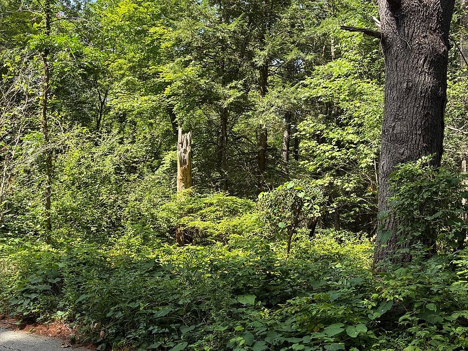 2nd image of 0 Meyer Ln