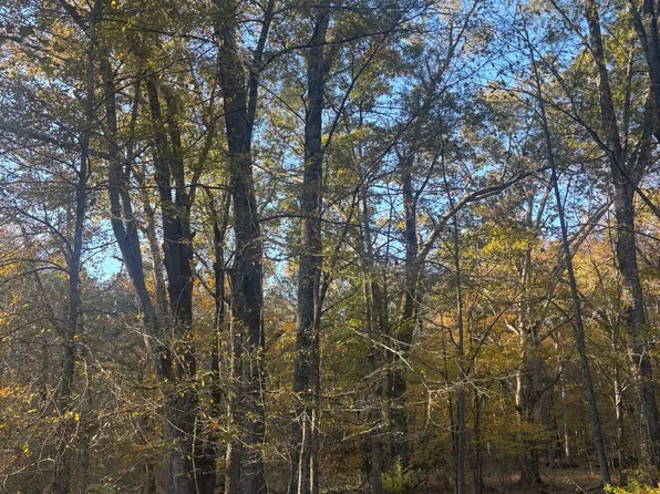 0 Vinson Rd, Tignall, GA 30668