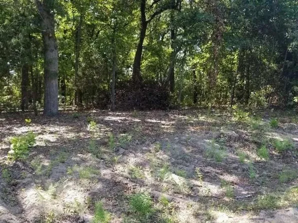 N/a Birch Dr, Murchison, TX 75778