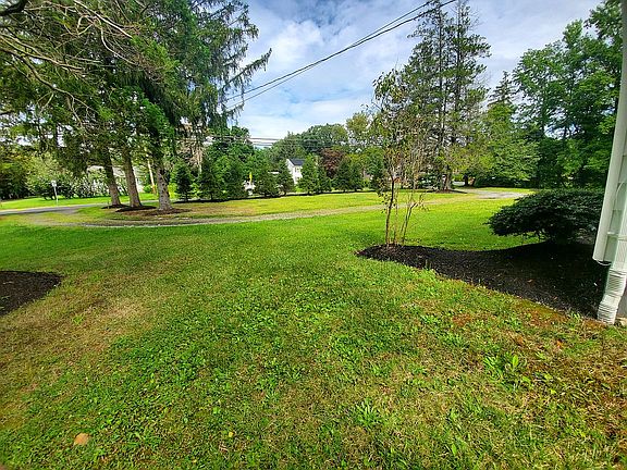 Left side of the house