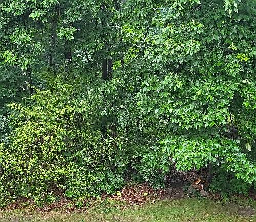 4th image of 6740 Jenny Leigh Ct