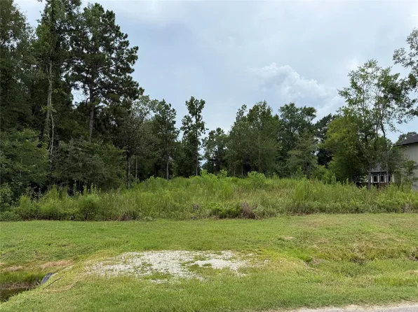 708 County Road 6609 Lot 17, Dayton, TX 77535