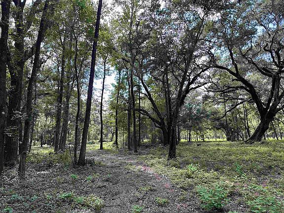 3rd image of 2930 Coastal Hwy Lot 1