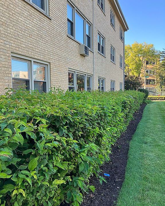 2nd image of 301 Chicago Ave APT 3CE