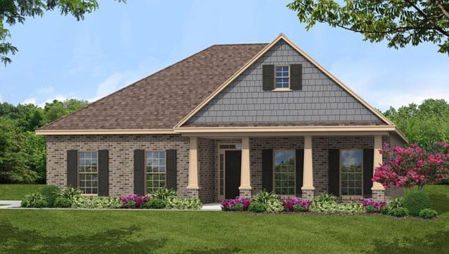 Elevation Image 1.
