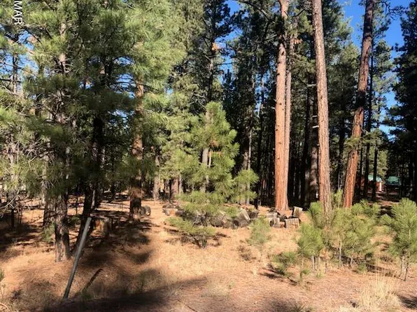 0 County Road 2266, Alpine, AZ 85920