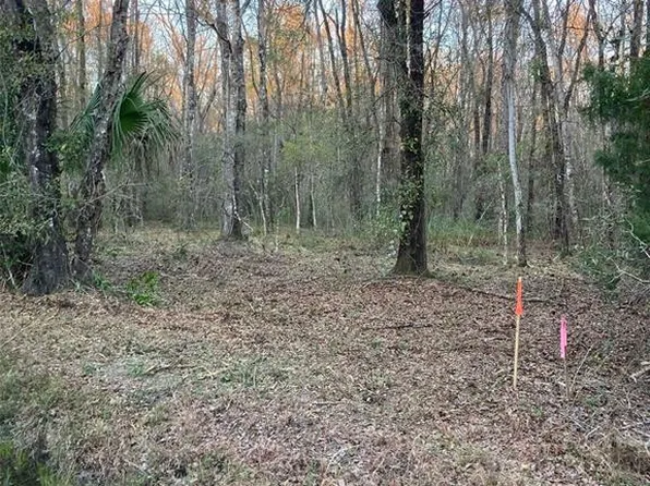 10450 Weatherby Ave, Hastings, FL 32145