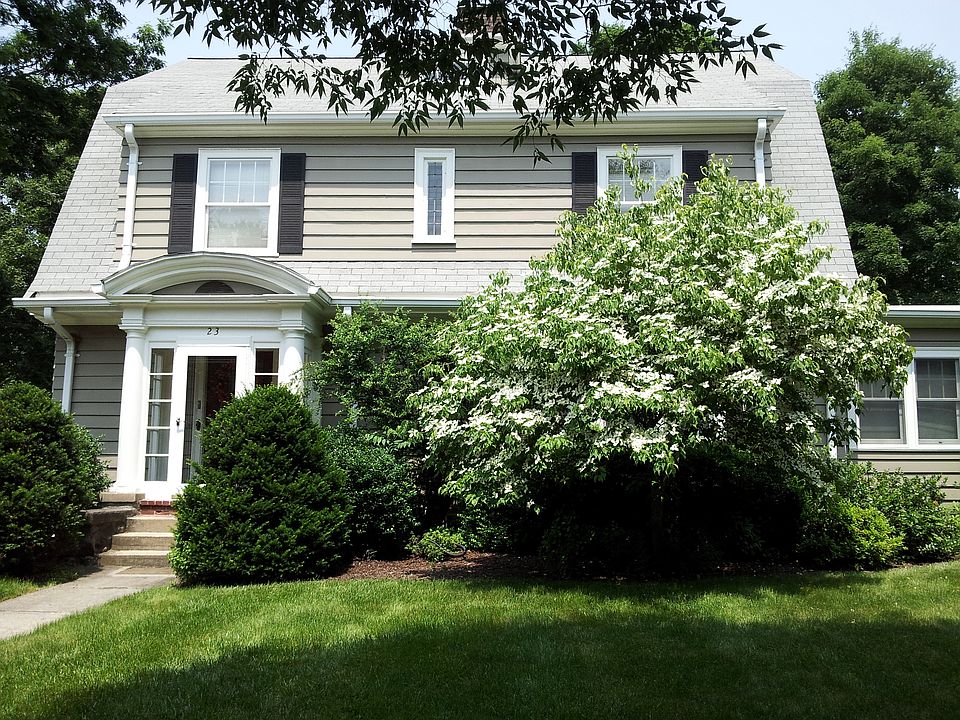 Kousa Dogwood. Front yard.