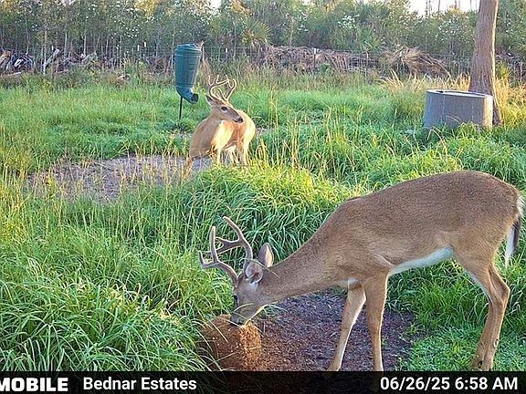 3rd image of Black Burn Rd