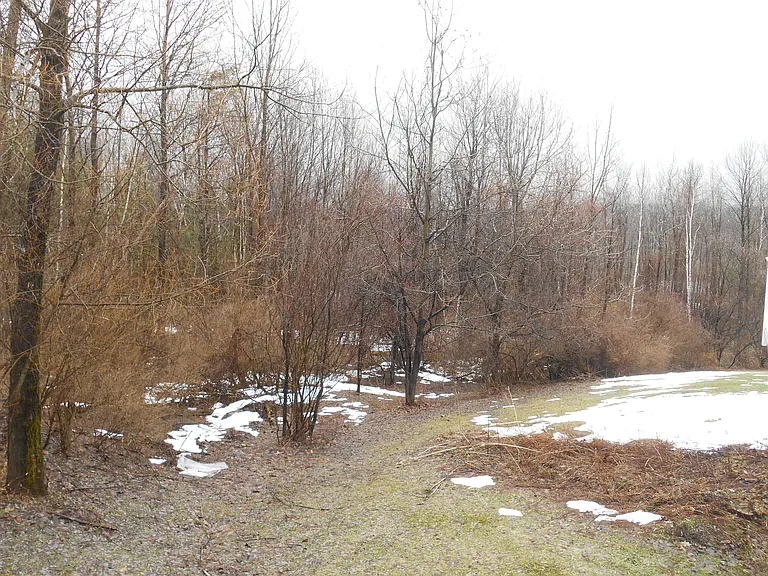 450 Grange Hall Rd — Photo 9