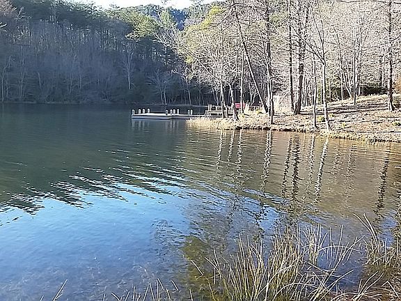 Your private cove and dock!