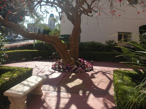 3rd image of 707 Orange Ave #B2