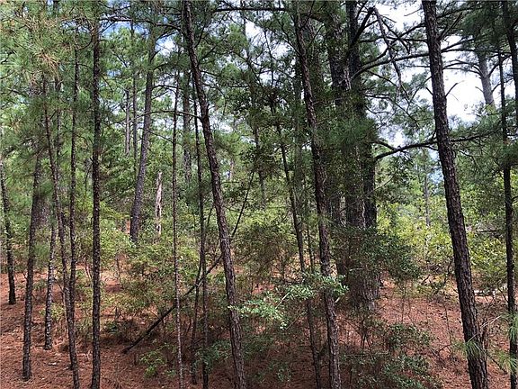 5th image of Majestic Pine Dr