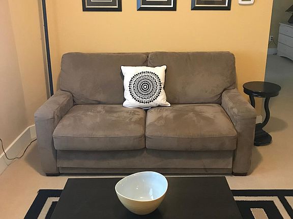 Living room with sleeper sofa and additional seating + TV ca