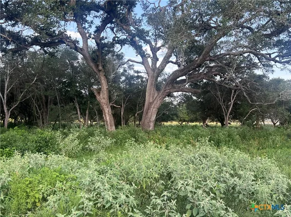 0 Savannah Ranch Rd, Inez, TX 77968