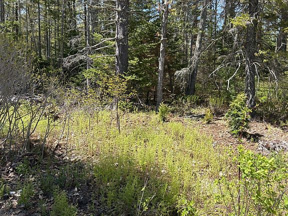 4th image of Lot 116010 Martin Point Road