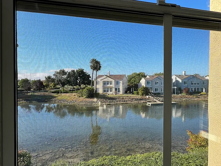 Views from the Master Bedroom window