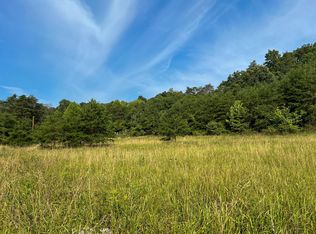 0 Little Forest Run Rd, Reedsville, OH 45772